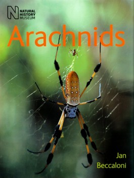 arachnophilia 4.0